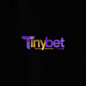 تاینی بت چیست؟